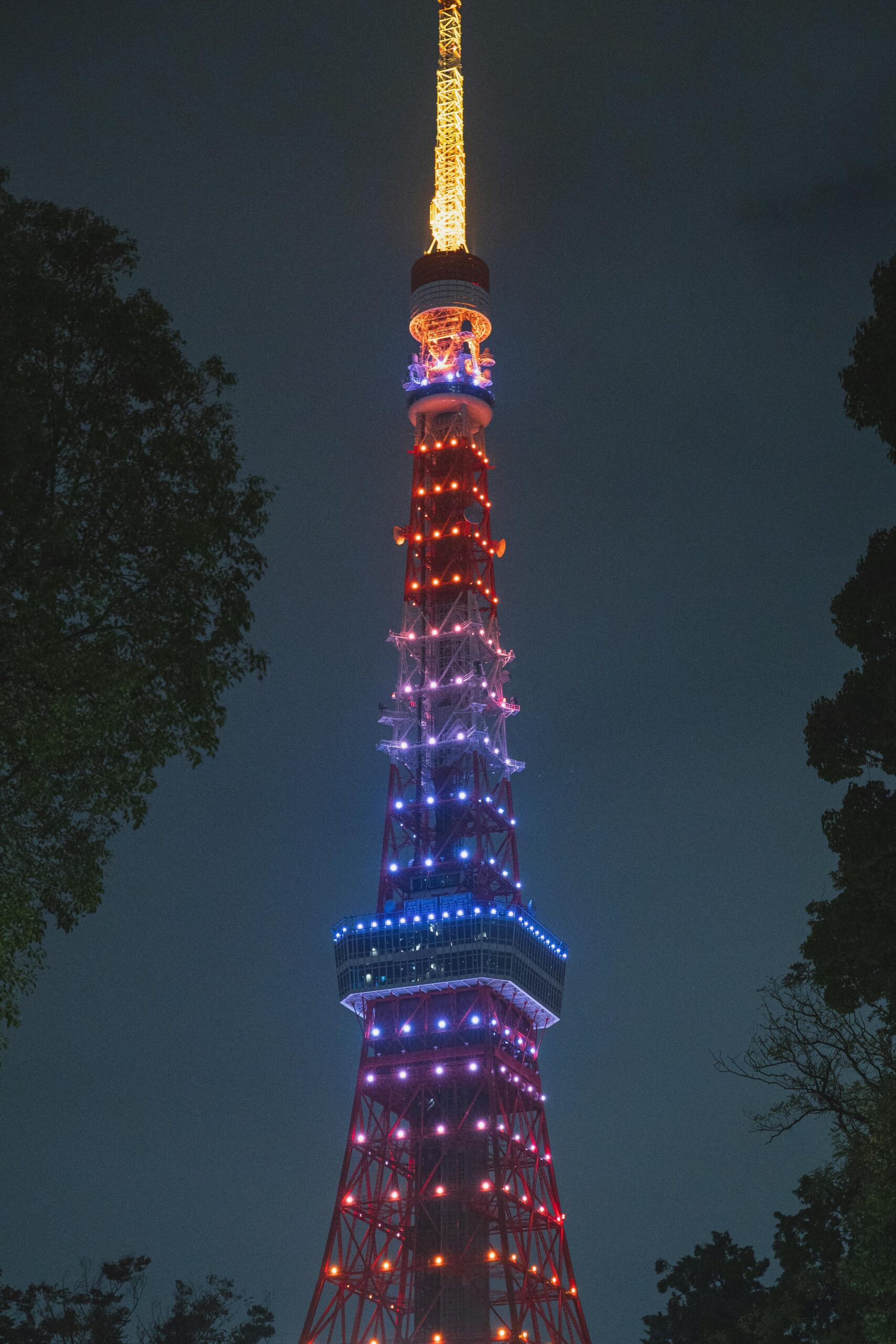 Exterior of contemporary tall television tower illuminated by glowing lights at night in Tokyo